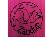 Zandup.cz